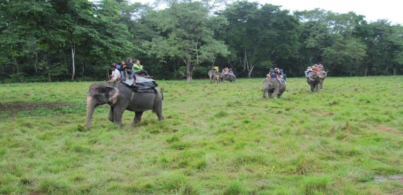 Chitwan Jungle Safari Tour